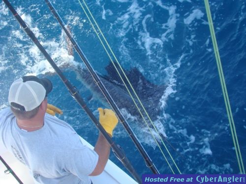 Click to Enlarge Photo