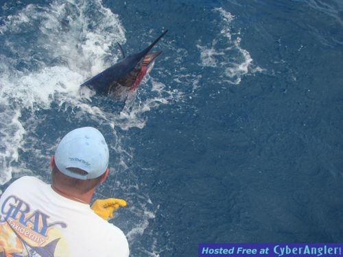 Click to Enlarge Photo