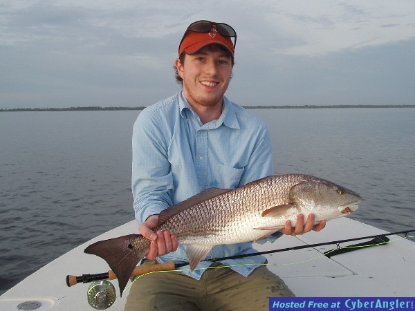 Mosquito Lagoon redfish on fly