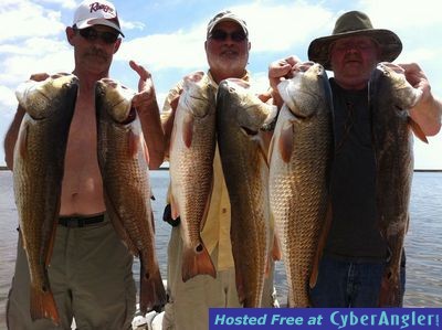 Click to Enlarge Photo