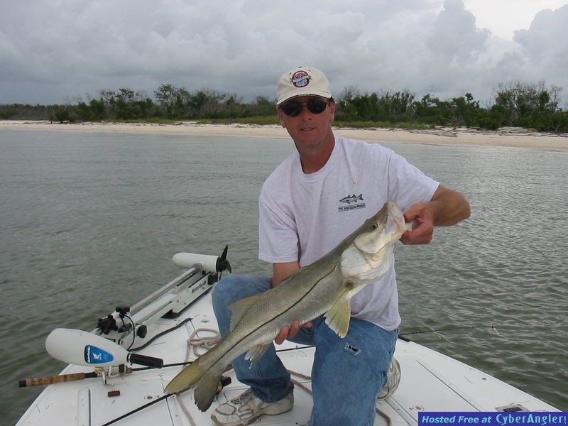 jewfish_005