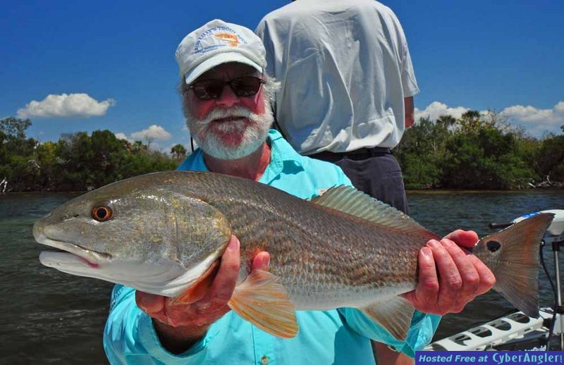 Charlotte Harbor Redfish