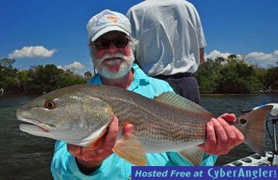 Charlotte Harbor Redfish