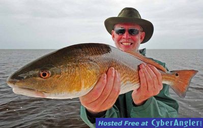 Rainy Day Redfish