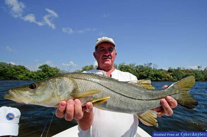 Charlotte Harbor Snook