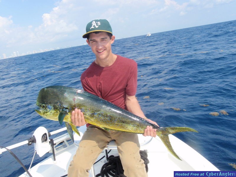 Sam_n_Dolphin