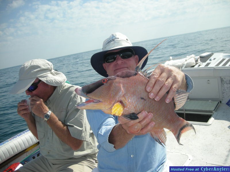 Bassnbaycharters