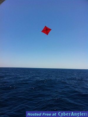 Click to Enlarge Photo