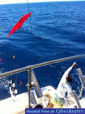 Click to Enlarge Photo