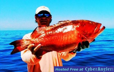 red_grouper_2