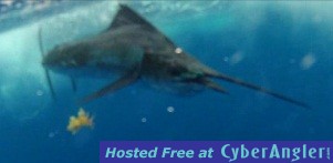 Sailfishing 2/28/2012