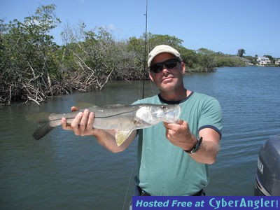 Sarasota snook