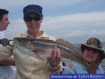 redfish charters tampa south shore.