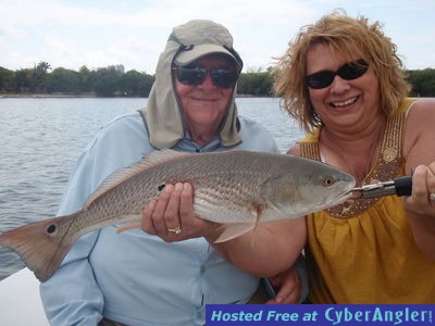 redfish tampa bay fishing guides.