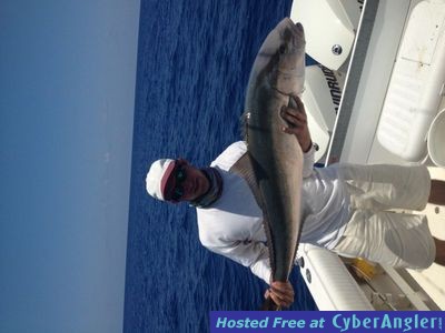 Click to Enlarge Photo