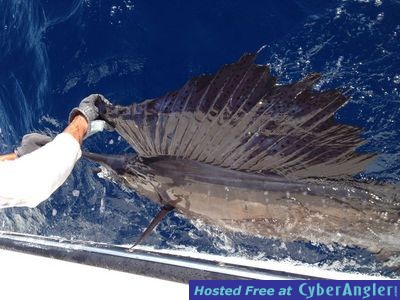 Click to Enlarge Photo