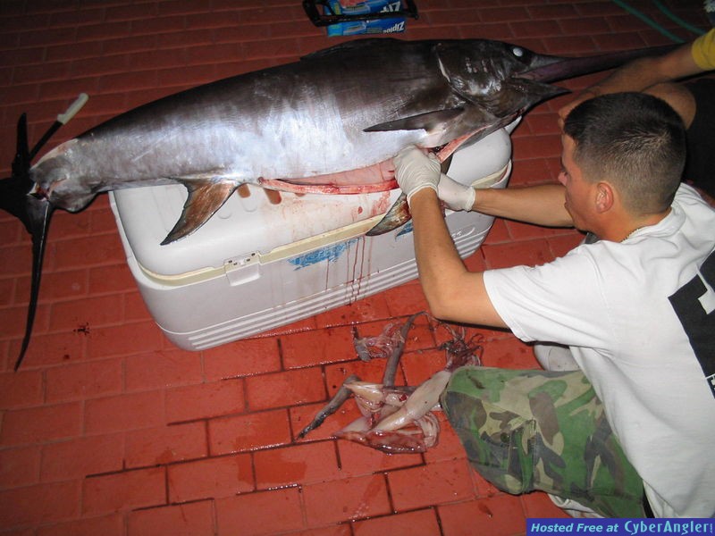 Jan. 2007 - Swordfish Trip