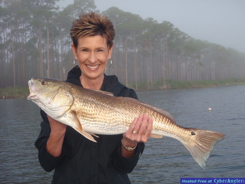 herring_003