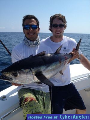 Big Miami blackfin tuna