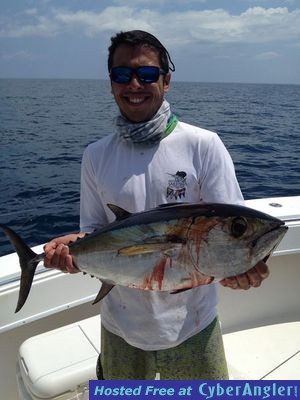 Click to Enlarge Photo