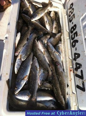 Click to Enlarge Photo