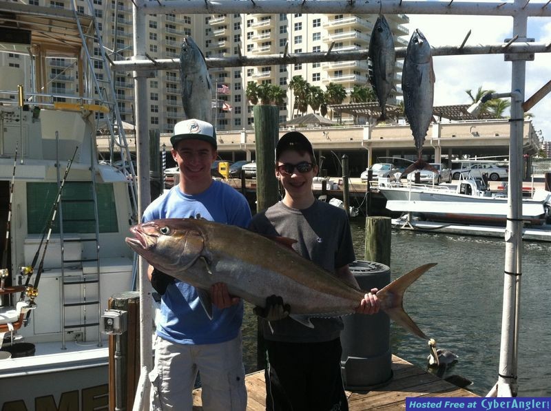 Amberjacks biting in lauderdale