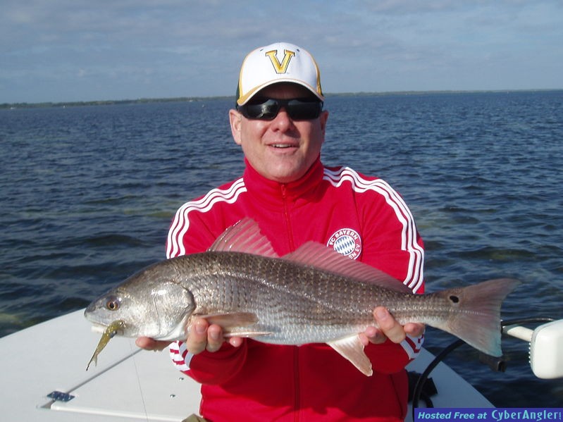 Mosquito Lagoon Redfish
