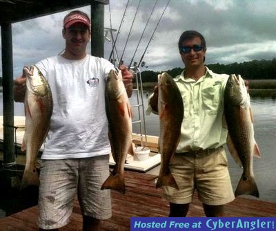 west bay reds