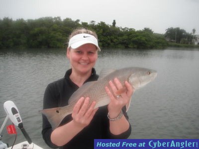 Sarasota redfish