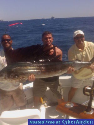 sailfish Jason 1