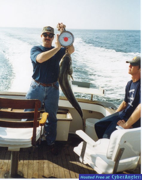 35lbs_striper