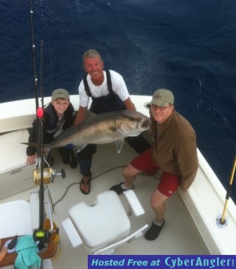 March_15_2012_Amberjack_web