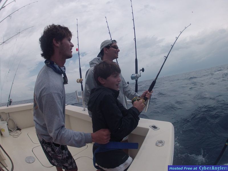 Hooked up to a dolphin