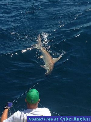 Click to Enlarge Photo