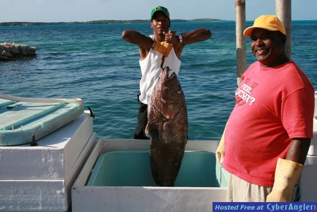 grouper 2
