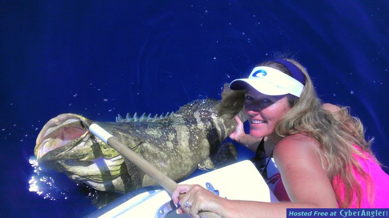 Bent Charters Goliath Grouper