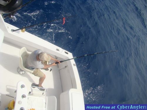 Click to Enlarge Photo