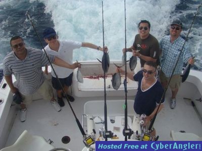 Click to Enlarge Photo