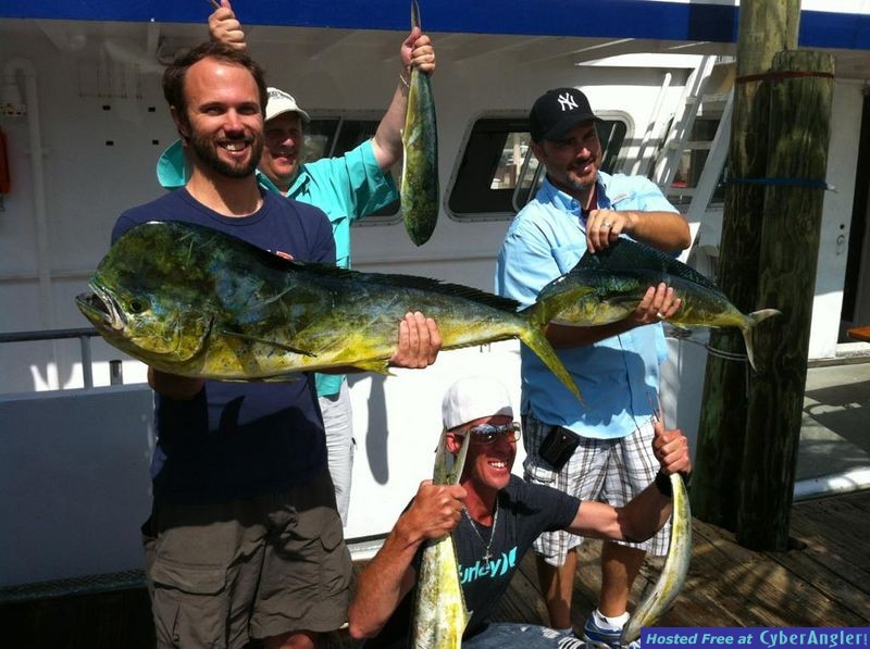 Dolphin caught with Fishing Headquarters