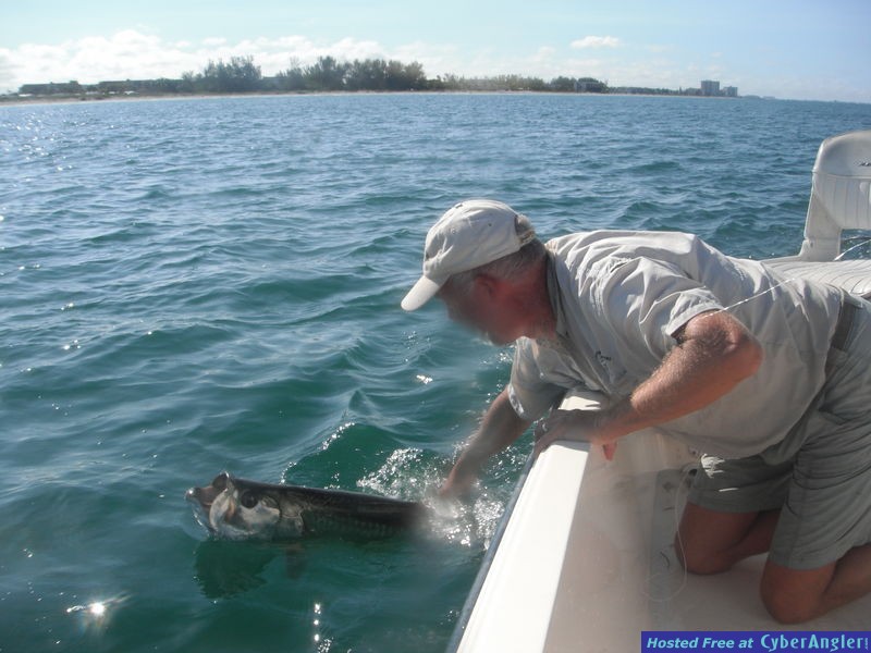 Longboat tarpon with Chaz