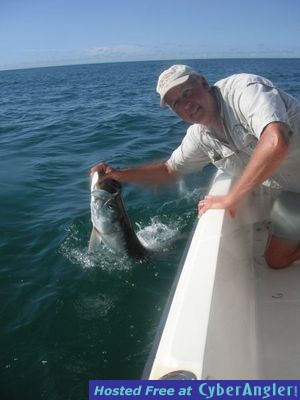 Sarasota tarpon