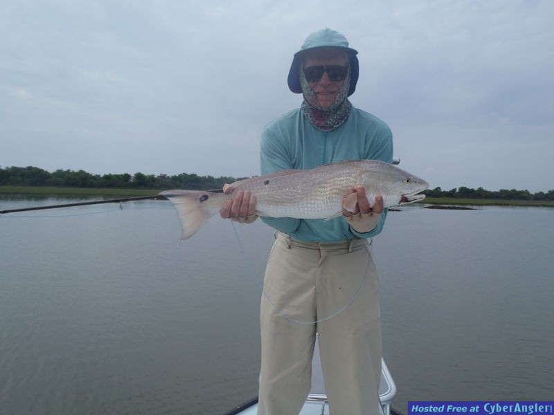 FinAddict Charters