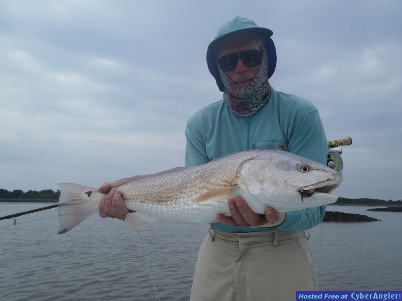 FinAddict Charters