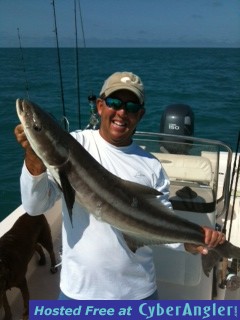 cobia11