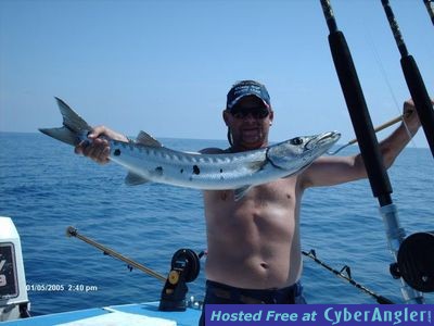 bahamas cuda