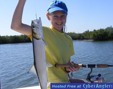 May28_2012_Ladyfish