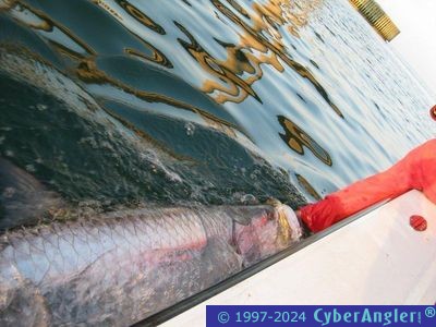 Click to Enlarge Photo