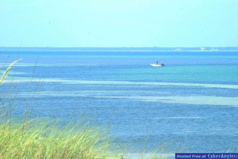 Eagle Harbor