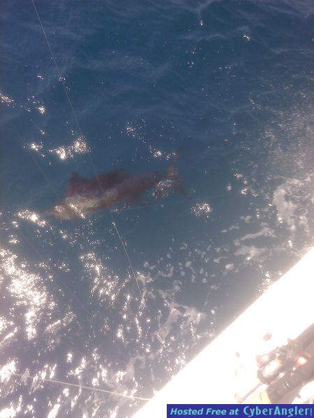 Click to Enlarge Photo