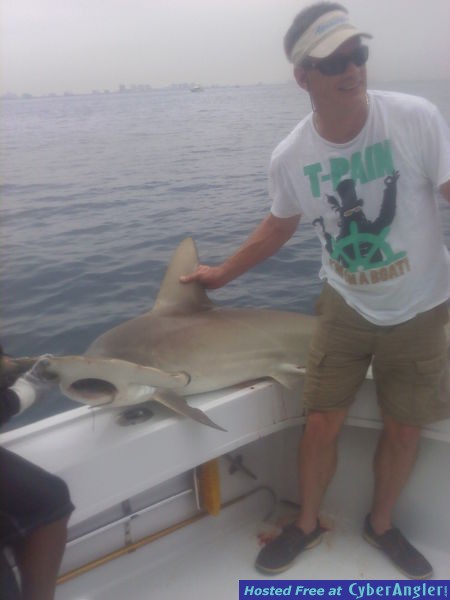 Shark Ed